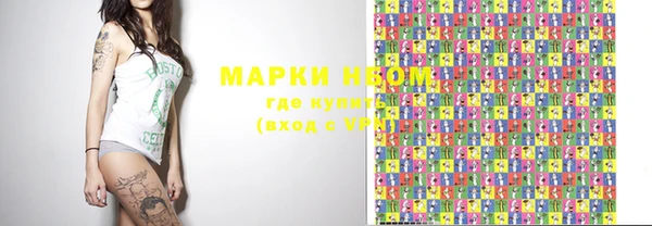 стаф Липки