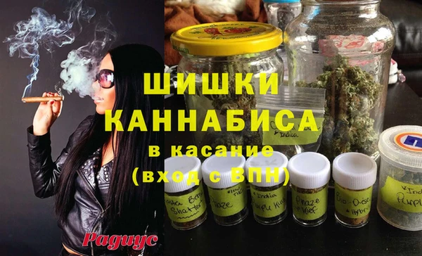 стаф Липки