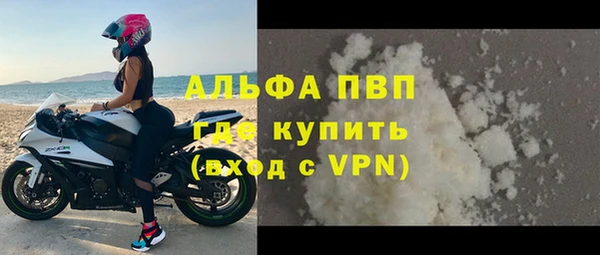 стаф Липки