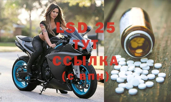 стаф Липки