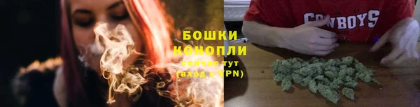 стаф Липки