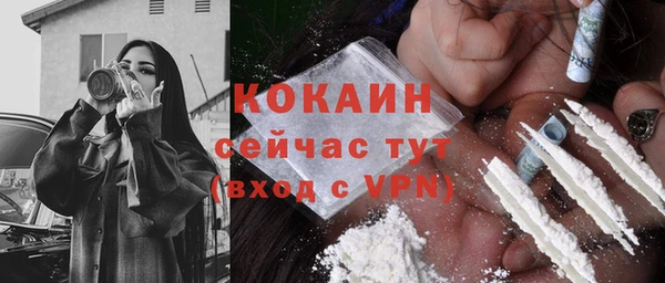стаф Липки