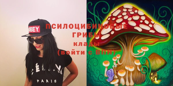 стаф Липки
