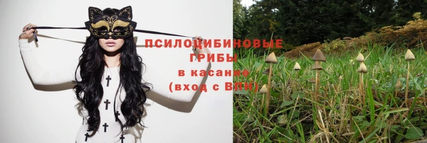 стаф Липки