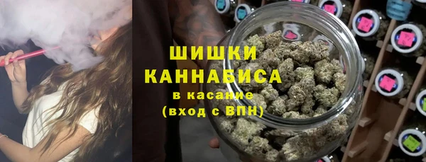 стаф Липки