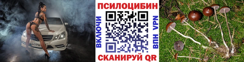 Галлюциногенные грибы Magic Shrooms  Омск 