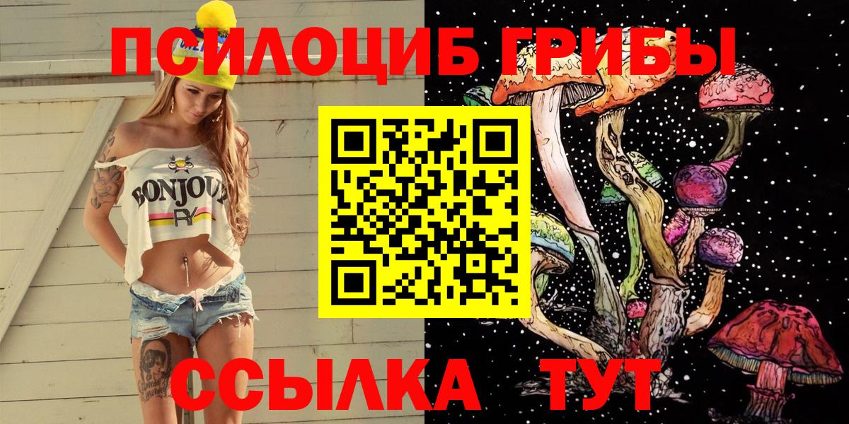Псилоцибиновые грибы прущие грибы Омск