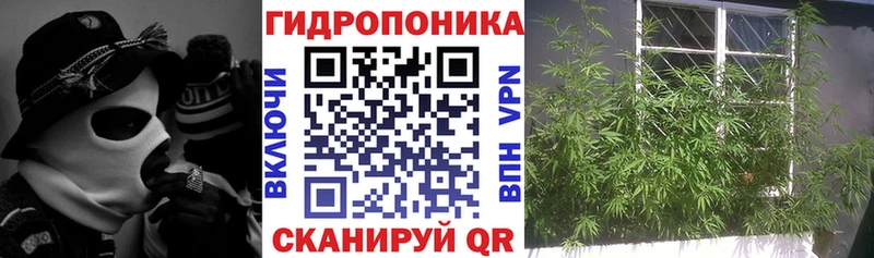 Канабис Bruce Banner  Омск 